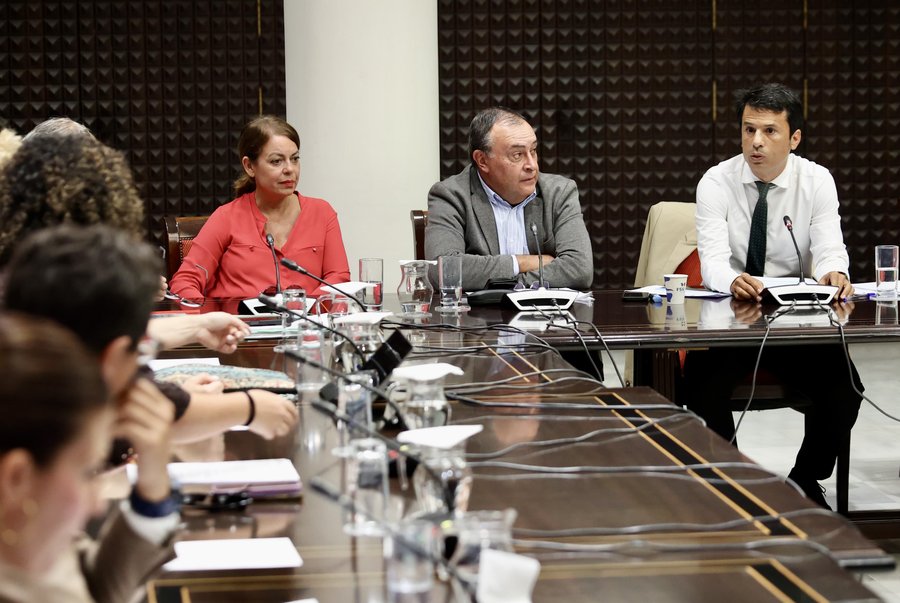 Marcos Bergaz, diputado del PSOE por Lanzarote, durante una comisión parlamentaria de Obras Públicas, Vivienda y Movilidad / Foto: PSOE Canarias
